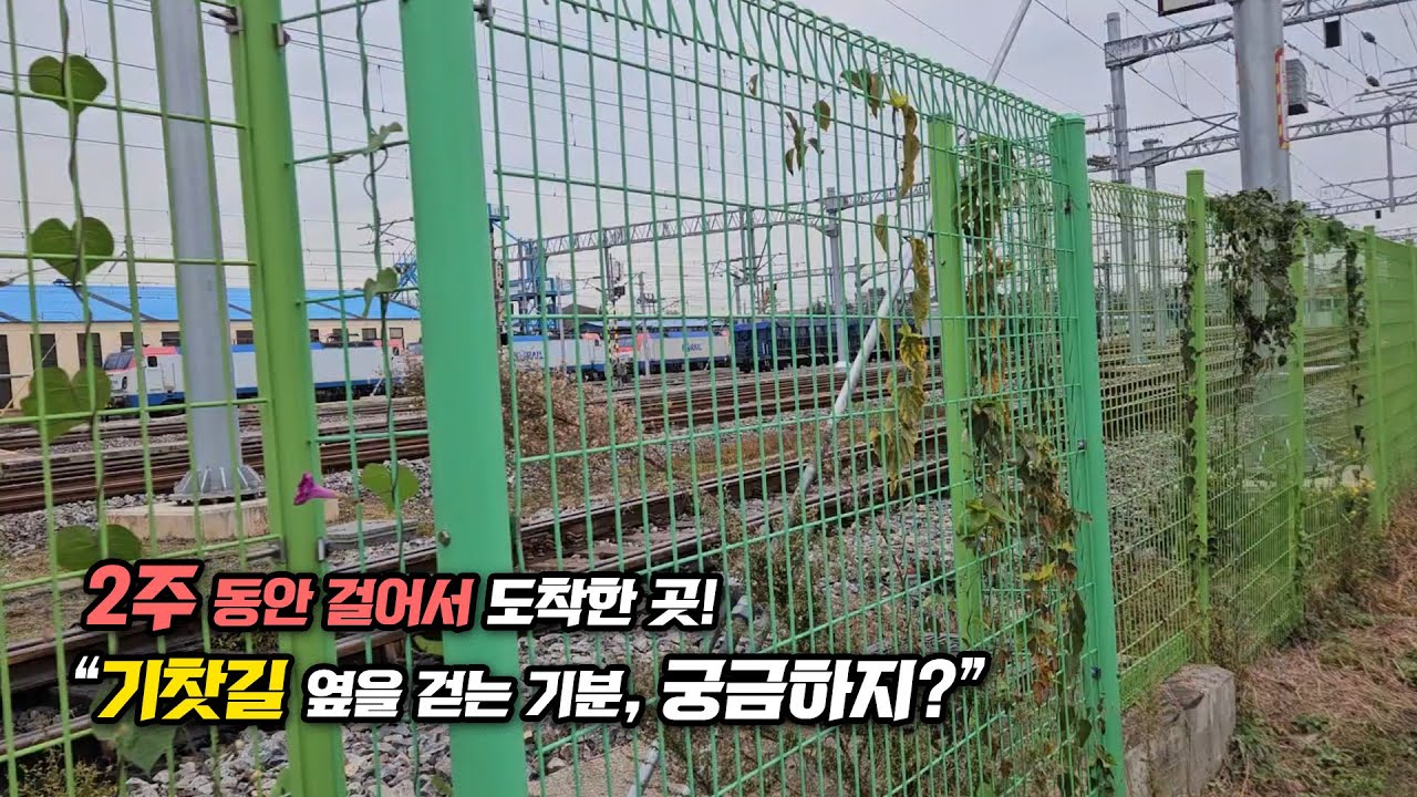포항에서 걷기 시작한 지 14일...해파랑길 33코스