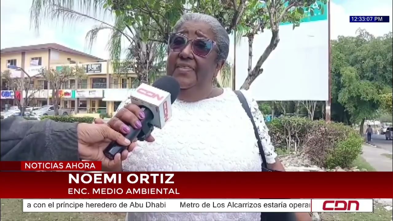 Destruyen casetas de negocios en área verde en Pantoja, Los Alcarrizos