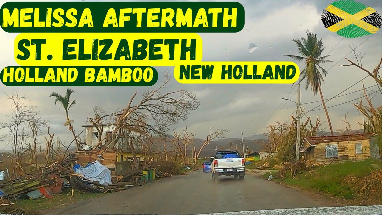 ПОСЛЕДСТВИЯ УРАГАНА «МЕЛИССА» | HOLLAND BAMBOO | НЬЮ-ХОЛЛАНД | СЕНТ-ЭЛИЗАБЕТ #Ямайка