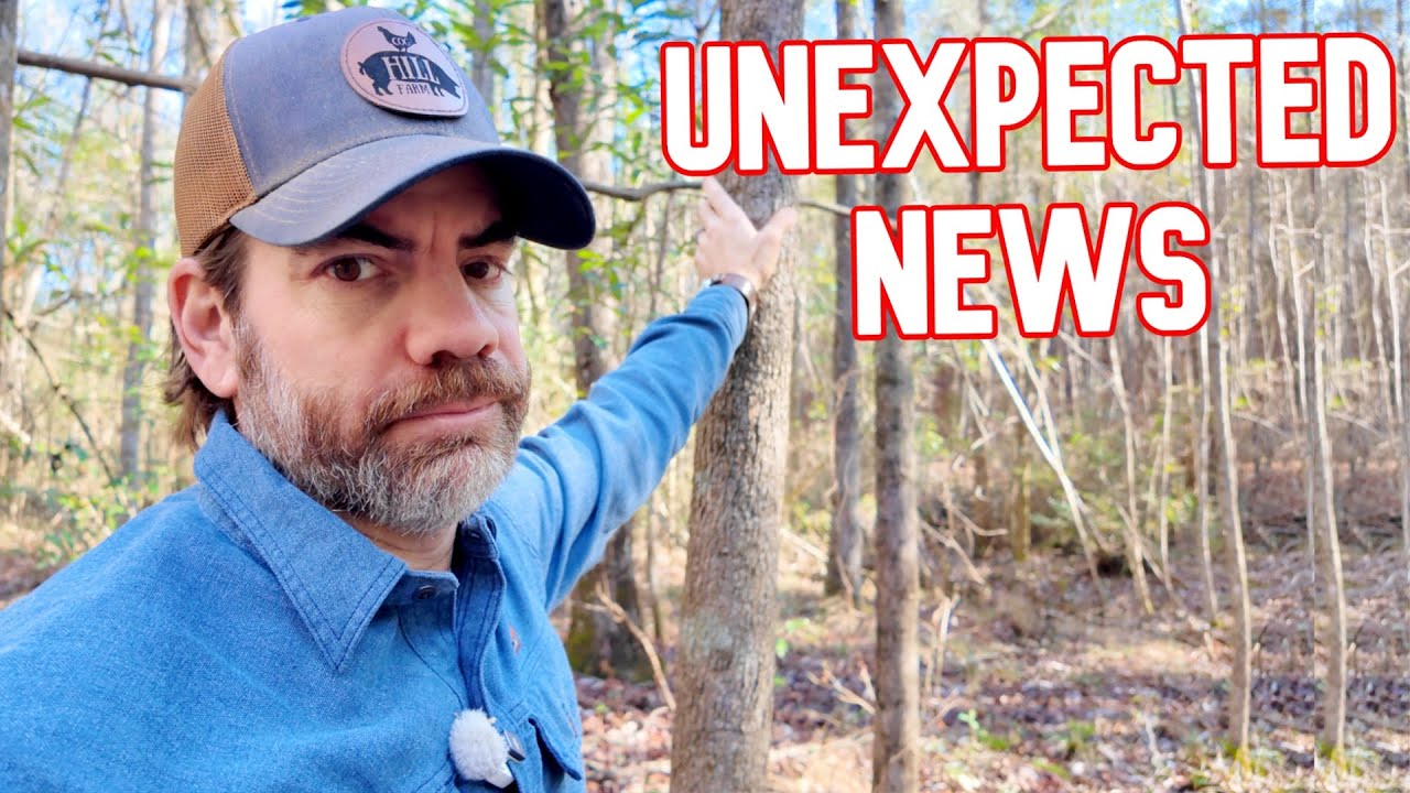 This Is Not The News We Were Expecting to Hear About The Upcoming Land Project.