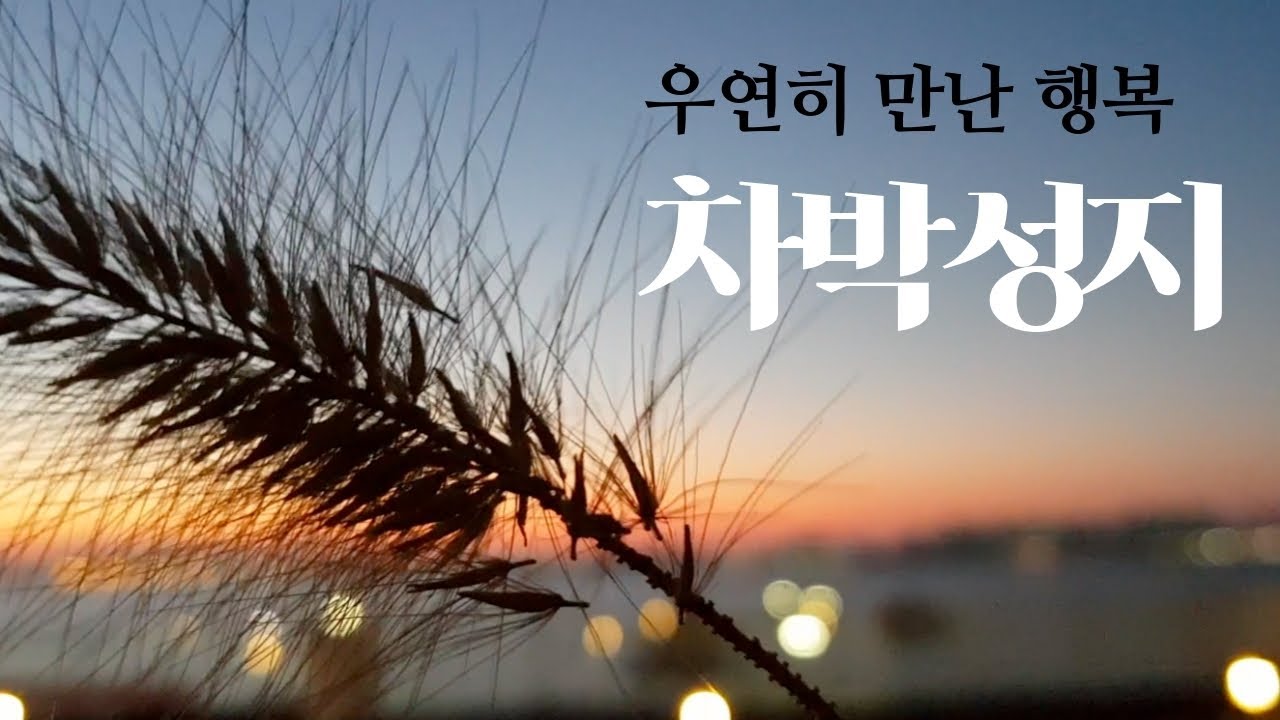 우연히 만난 행복/ 오이도 한울공원 무료주차장/ 카니발차박/차박캠핑지