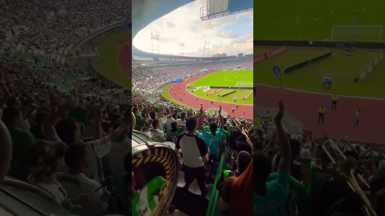 Manizales estadio Palogrande #futbol #atleticonacional #oncecaldas #manizales #barrismo