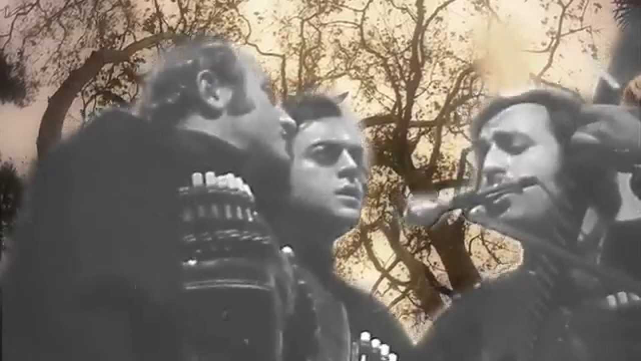 IMERETIS NIAVO - CISFERI TRIO