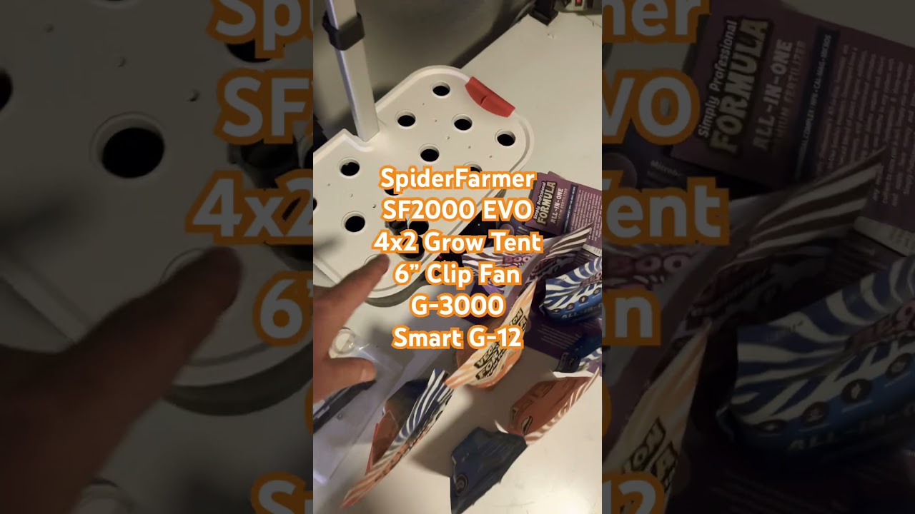 7- Current setup 8/24 #spiderfarmersf2000 EVO 4x2 Grow Tent 6&rdquo; Clip Fan @simproformula4640