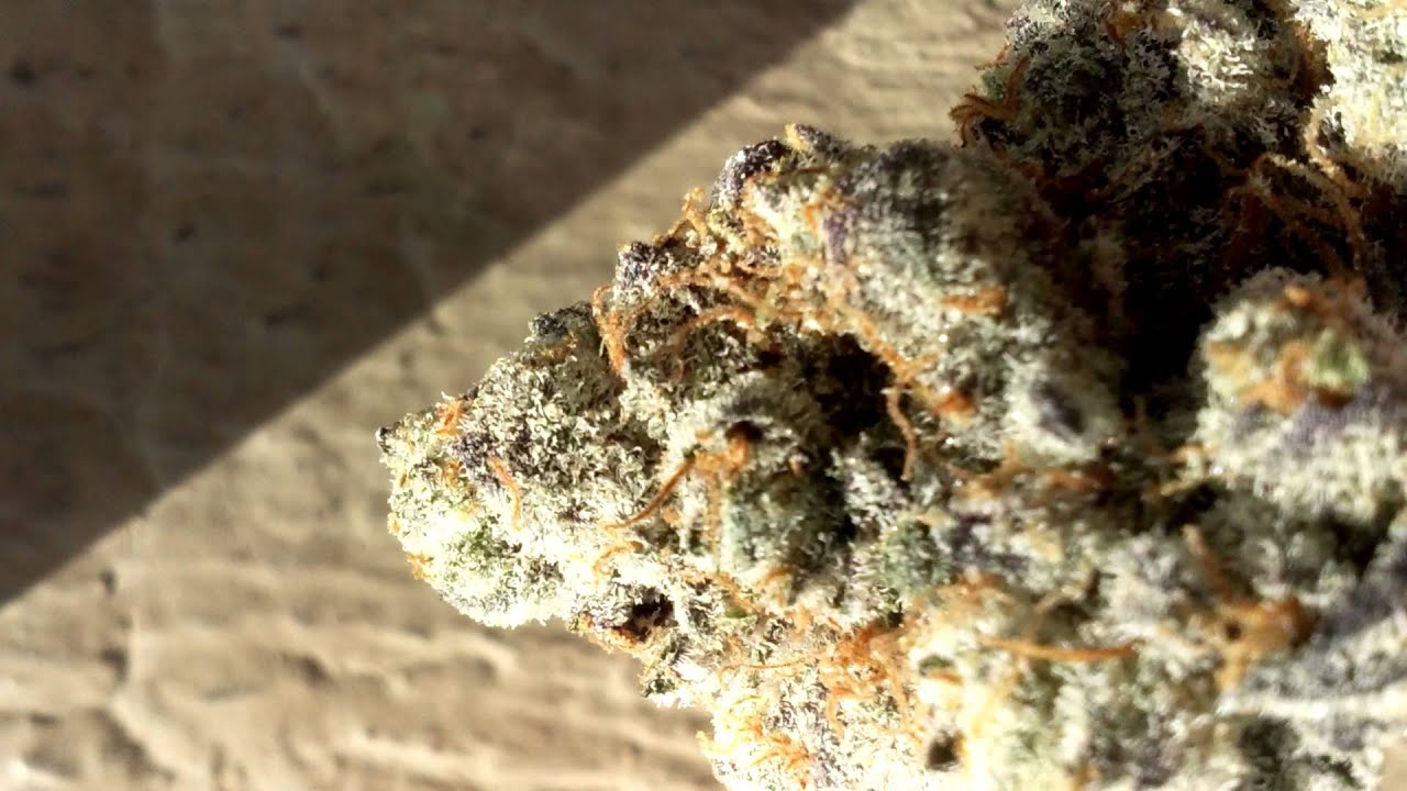 Marijuana Perfected(GSC)- HD Weed Porn