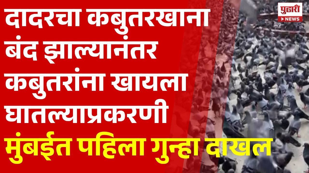 Pudhari News | कबुतरांना खायला घातल्याप्रकरणी मुंबईत पहिला गुन्हा दाखल | Mumbai