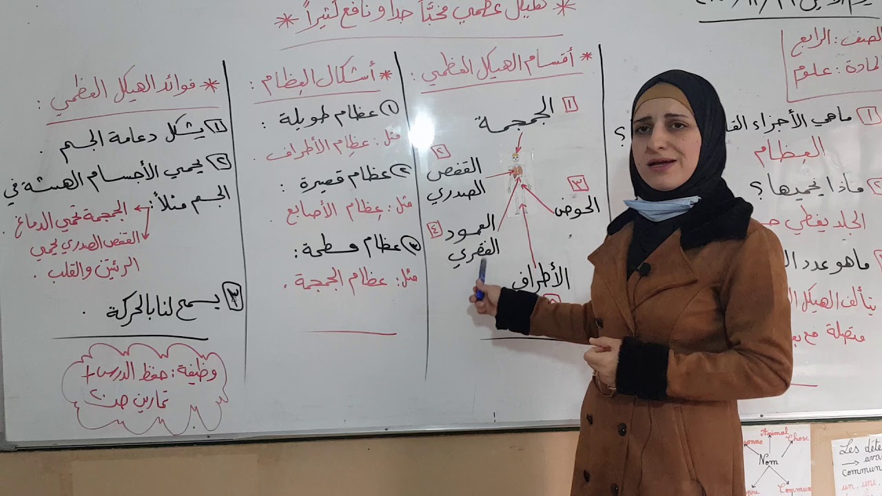 الهيكل العظمي، علوم، الصف الرابع، وفاء زادة
