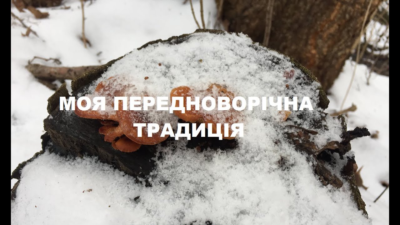 КОЖНОГО РОКУ ПЕРЕД НОВИМ РОКОМ ....