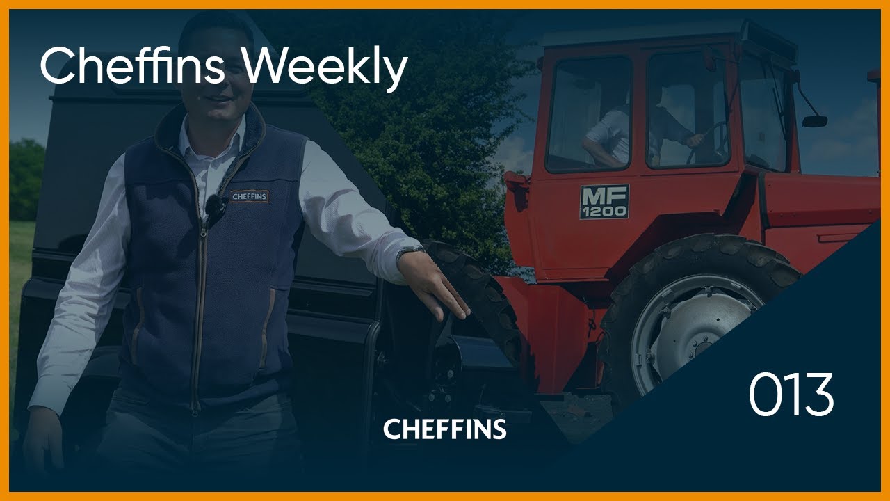 Back to VINTAGE? | Cheffins Weekly ep013