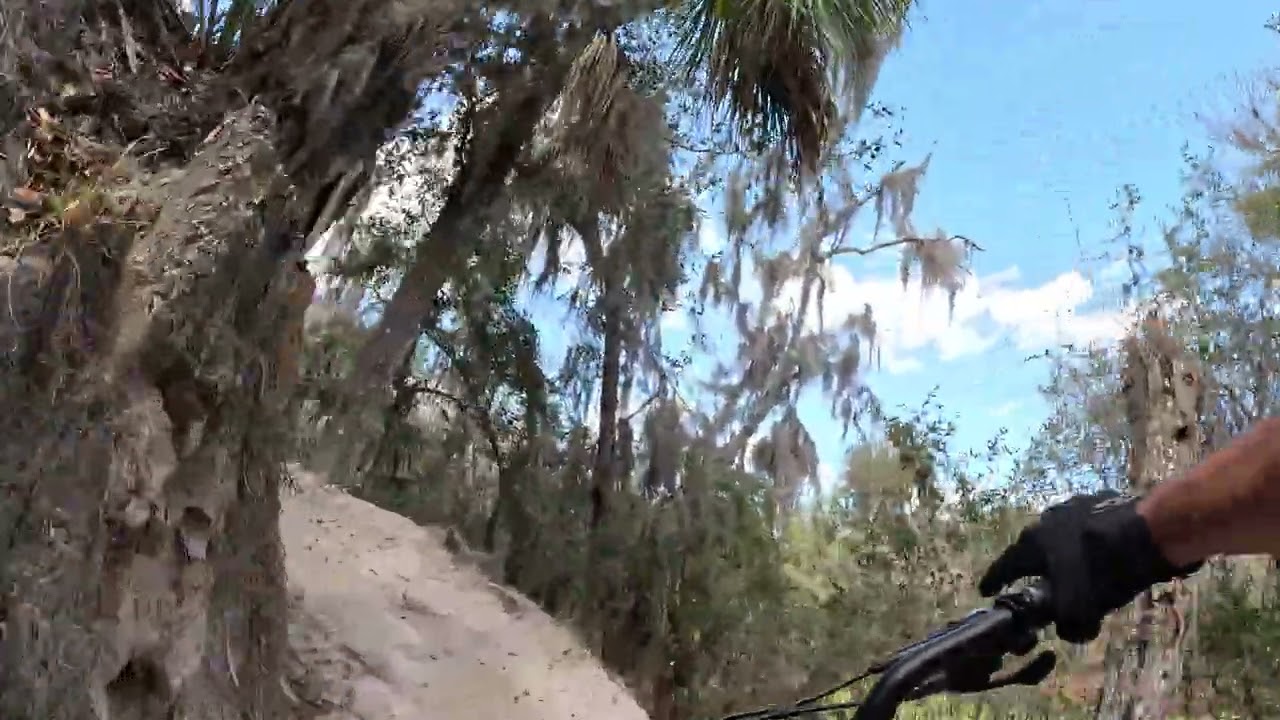 north creek twisted sister magic island