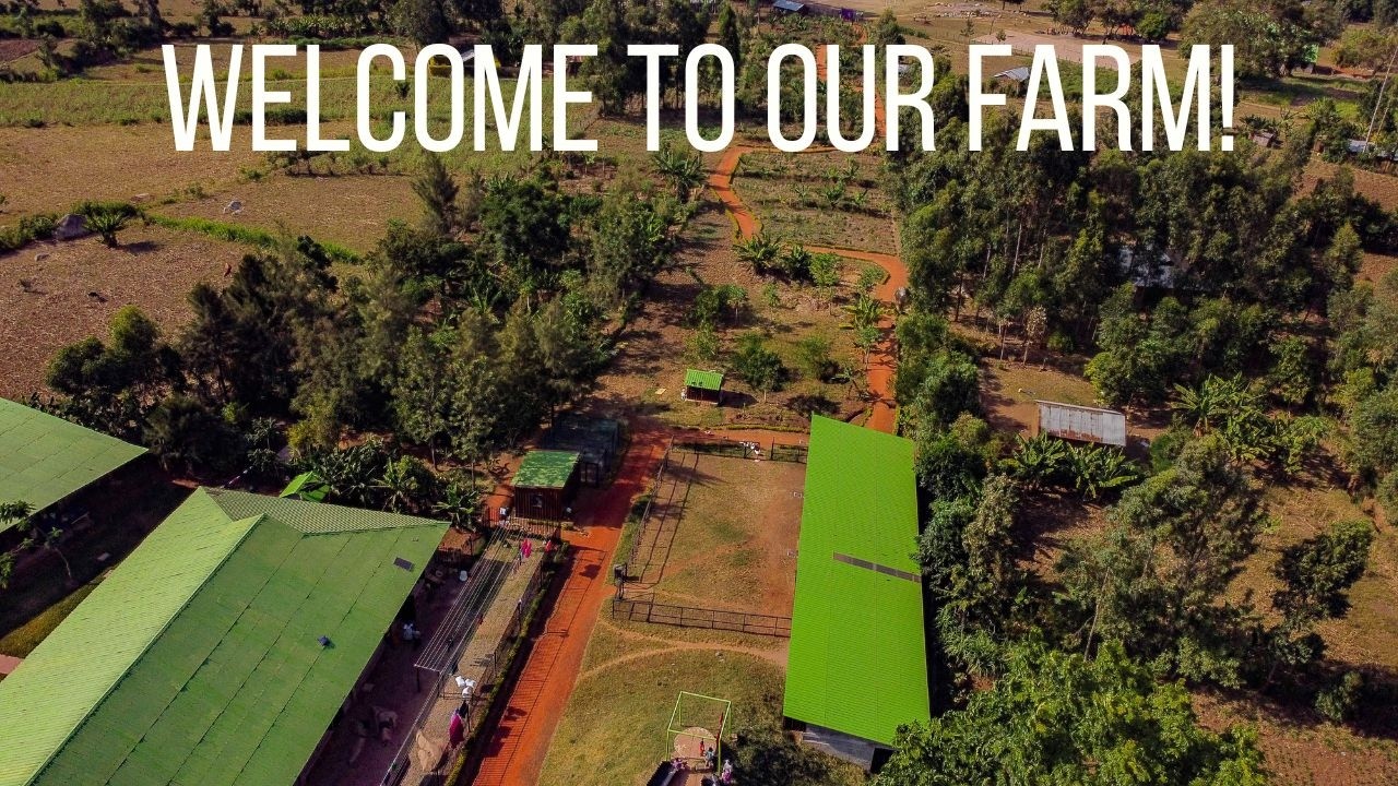 Come see our farm!