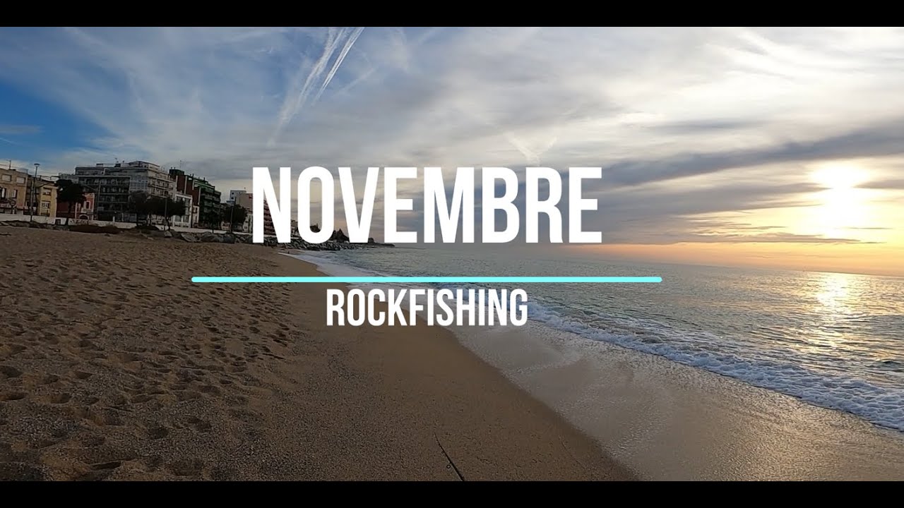 Novembre! llobarrets a superfície.
