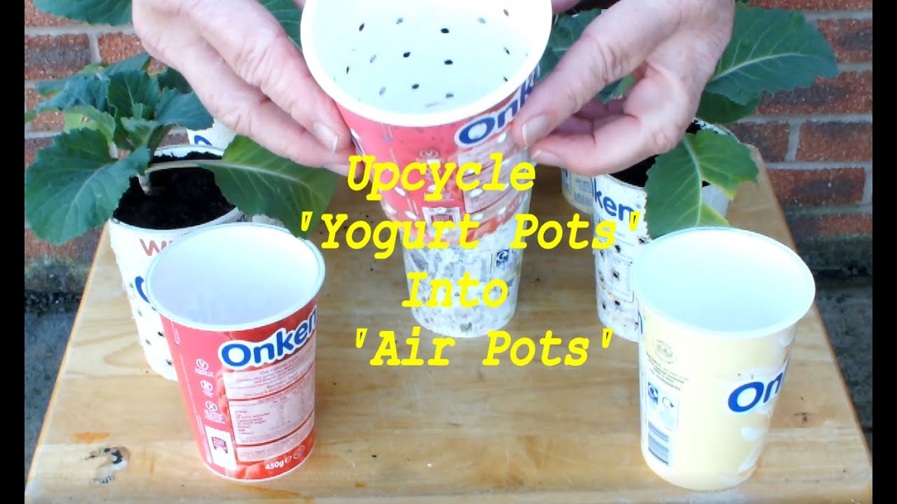 Grow Vegetables  Upcycle Yogurt Pots into Air Pots Experiment