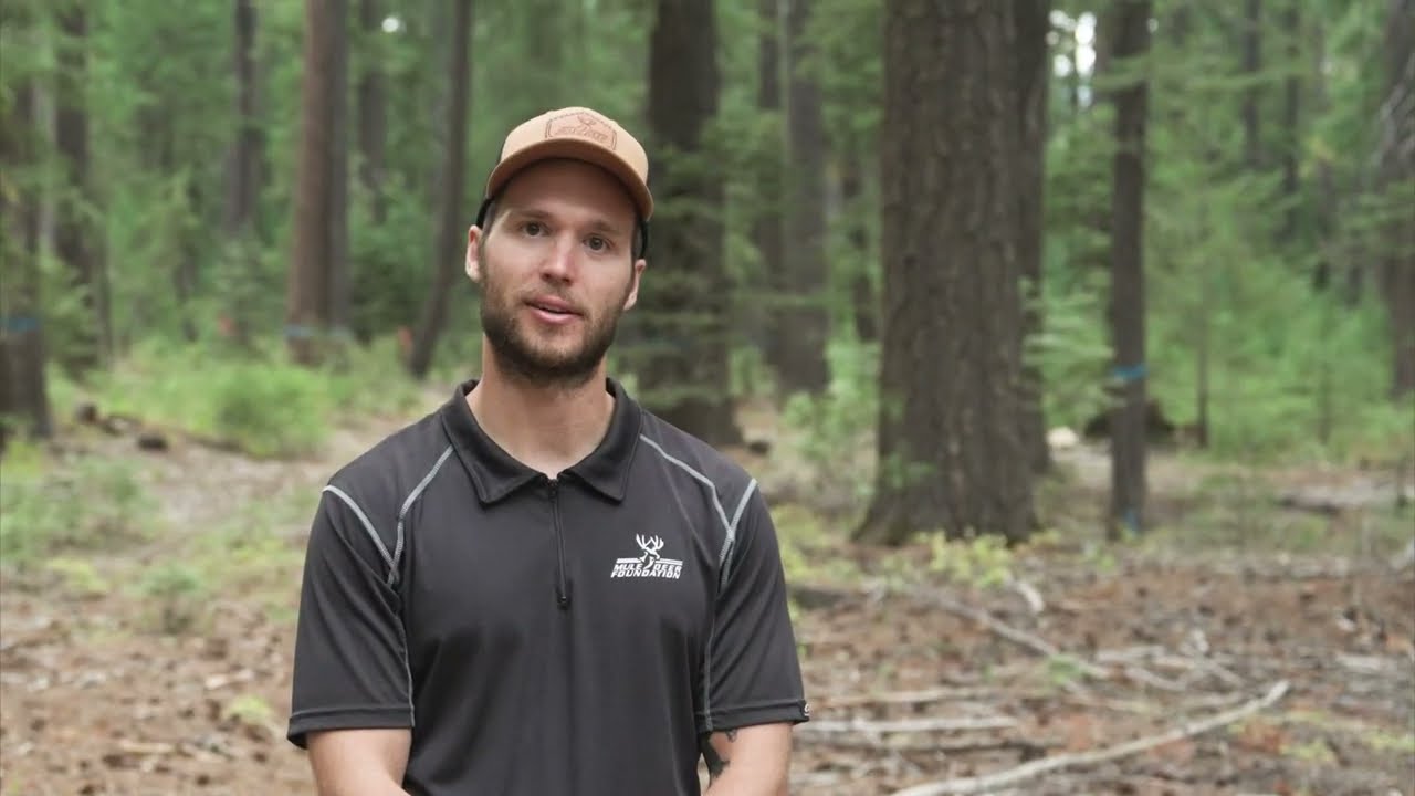 Wildfire Restoration and Forest Health on the Plumas National Forest