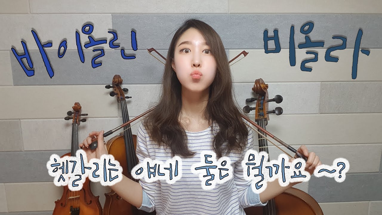 [말랑뮤즈] 비올라에 대해 잘 아시나요? 비올라와 바이올린의 차이점은 무엇???