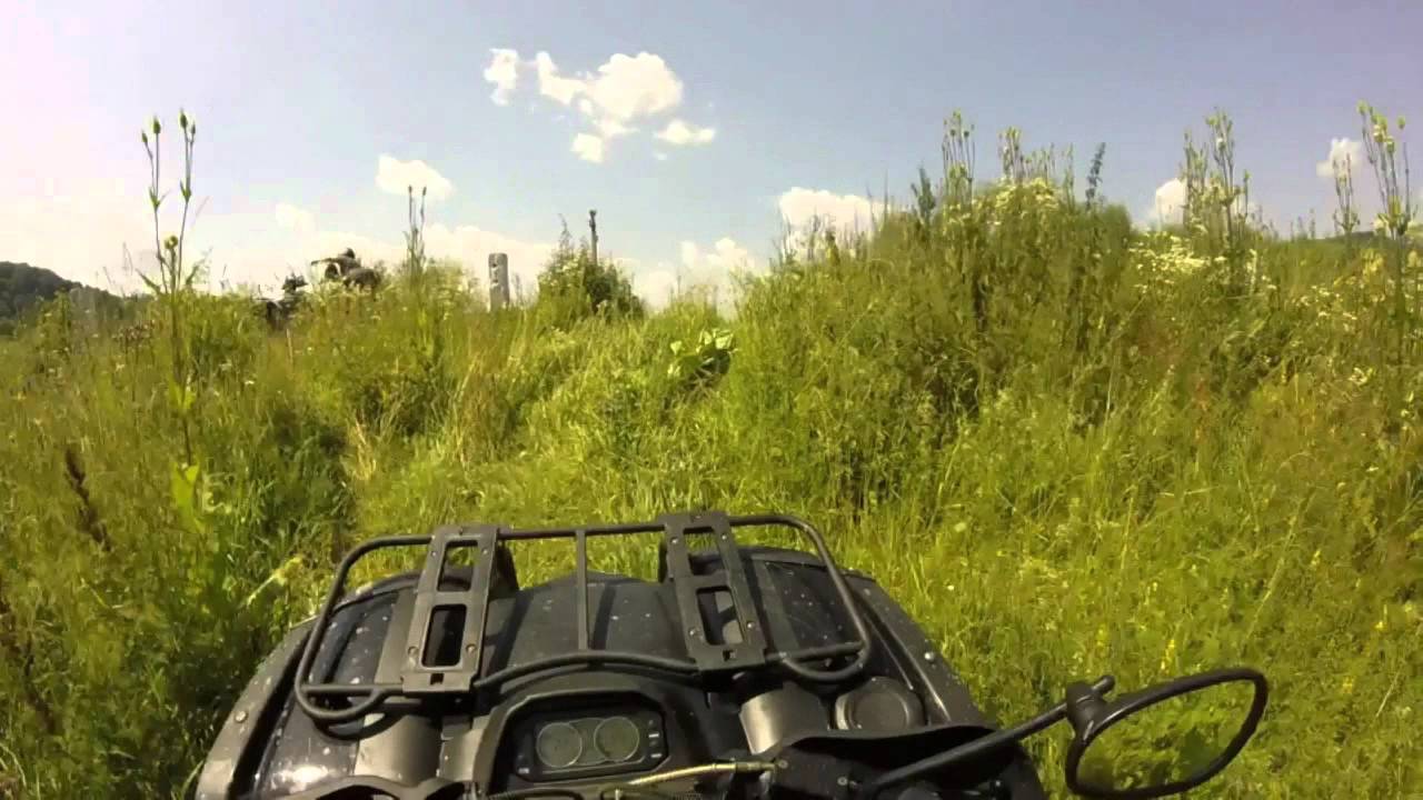 Speed Gear Force 500 Linhai 400 Arctic Cat 366 в Карпатах часть 2