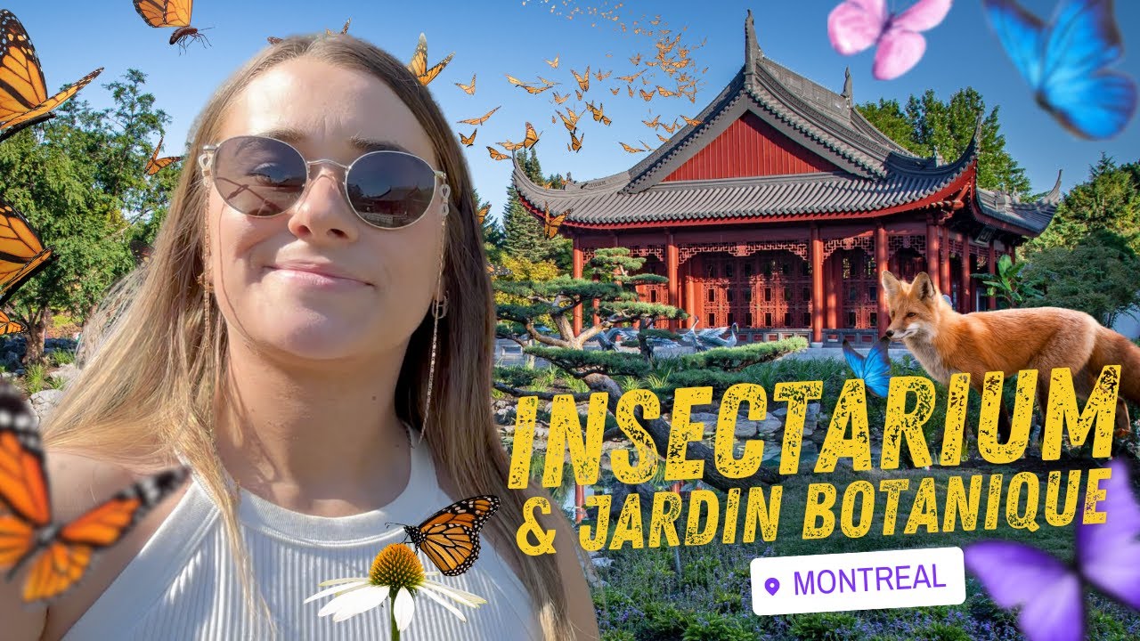 On visite l'insectarium et le jardin botanique de Montr&eacute;al - PVT