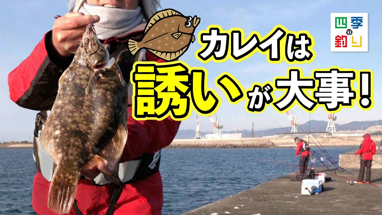 沖堤防で投げ釣り 終盤の良型カレイを狙う！（四季の釣り/2025年1月3日放送）