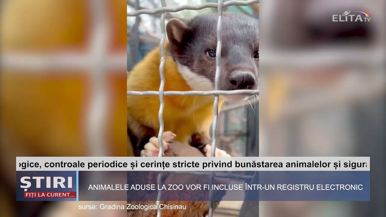 Animalele aduse la zoo vor fi incluse într un registru electronic