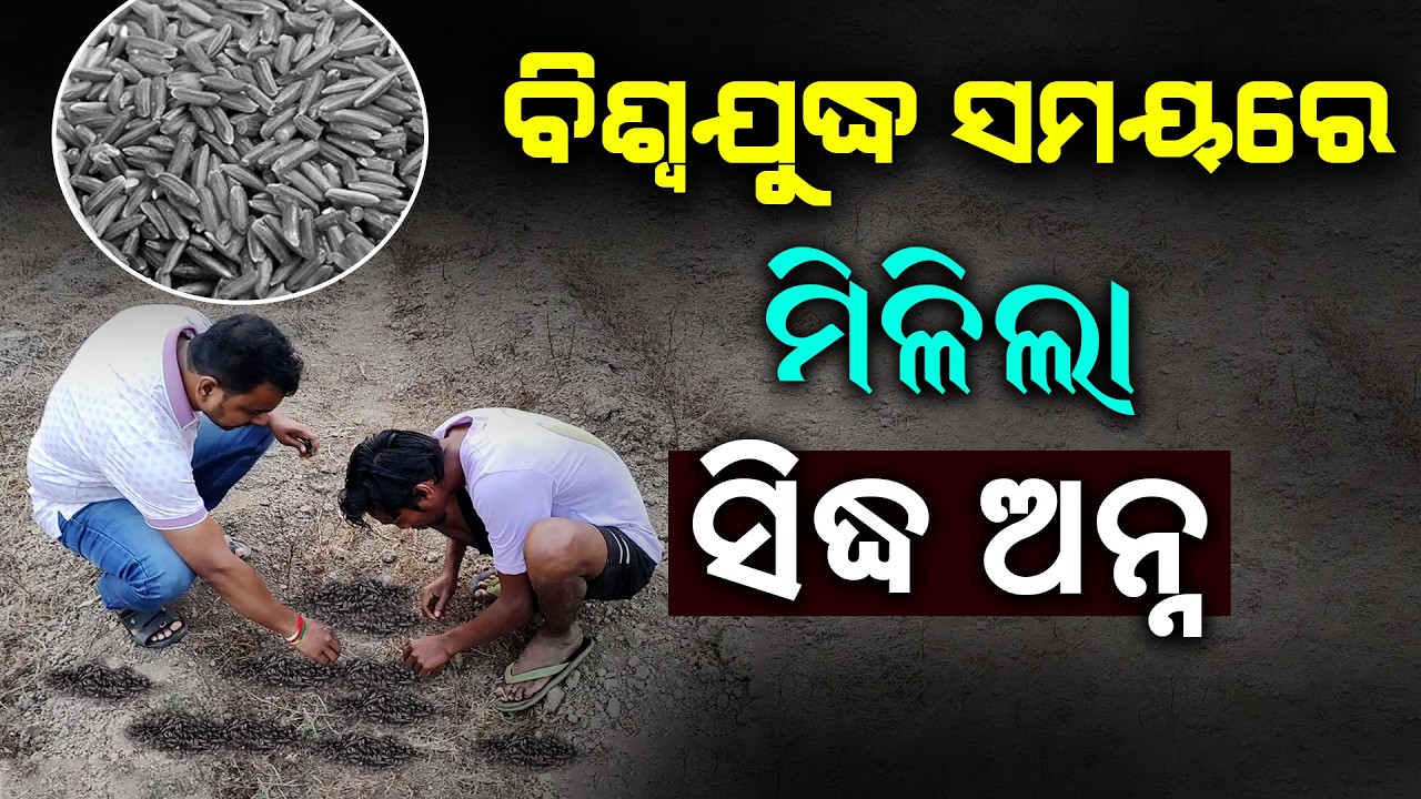 600 Years Old Place with Dip Secrets Found | Malika Place | @SatyaBhanja 