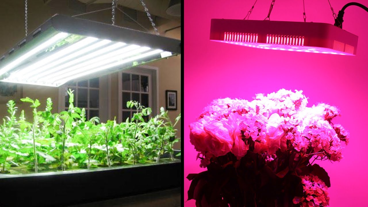Best Led Grow Lights Reviews In 2021 | Top 7 Perfect Led Grow Light For Your Indoor Gardening