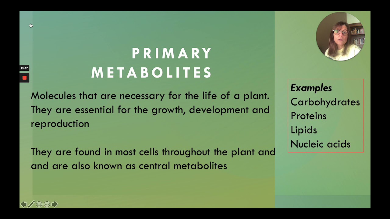 Plant Primary and Secondary Metabolites