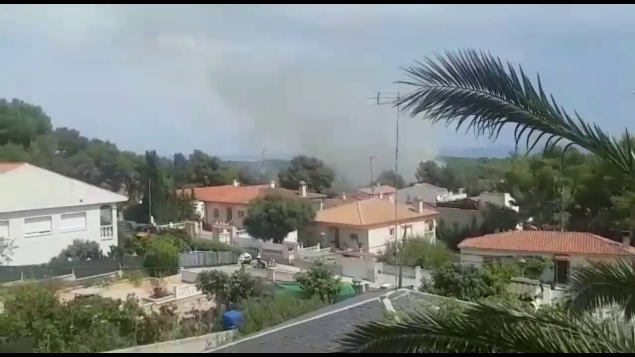 12 de julio de 2020
