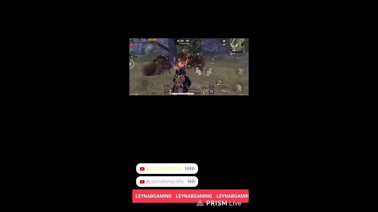 Live streaming of LEYNAB GAMING