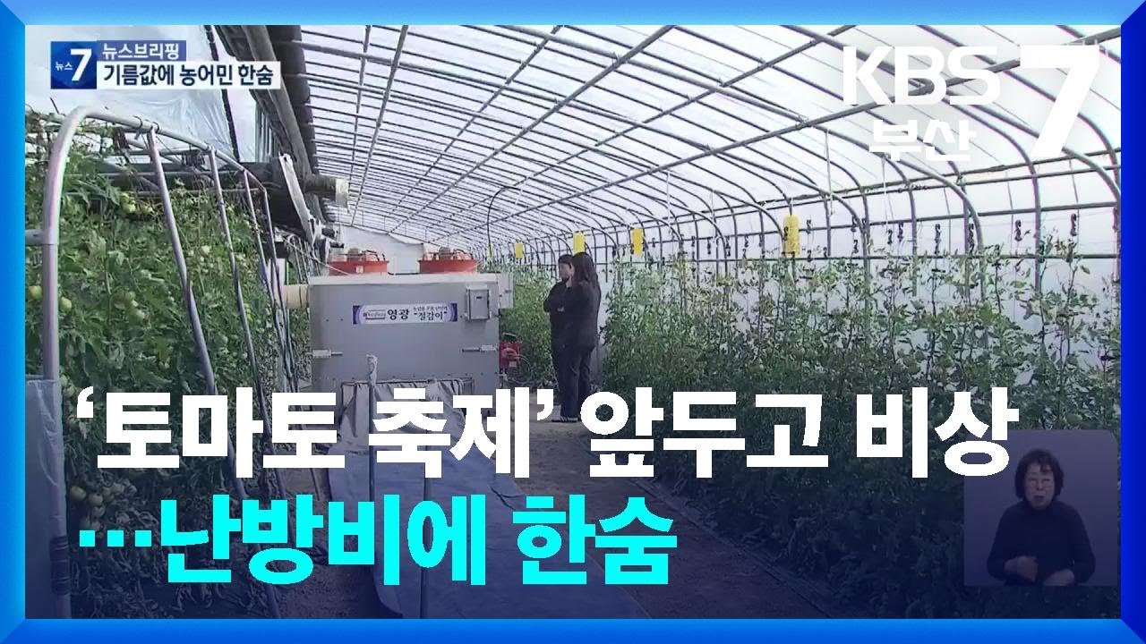 ‘토마토 축제’ 앞두고 비상…난방비에 한숨 / KBS  2026.03.11.