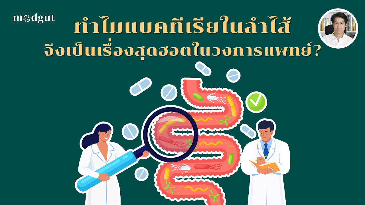 ทำไมแบคทีเรียในลำไส้จึงเป็นเรื่องสุดฮอตในวงการแพทย์? : [EP33] #เรื่องเล่าจากร่างกาย