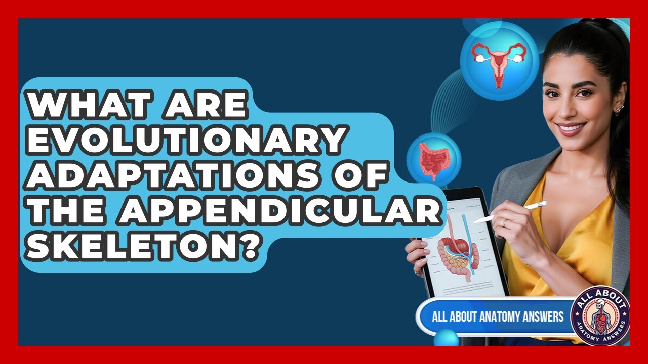 What Are Evolutionary Adaptations Of The Appendicular Skeleton? - All About Anatomy Answers