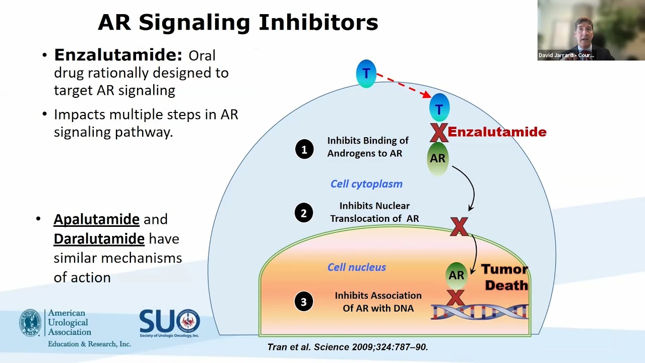 Manipulating the Androgen Axis:  New Agents in mHSPC and CRPC