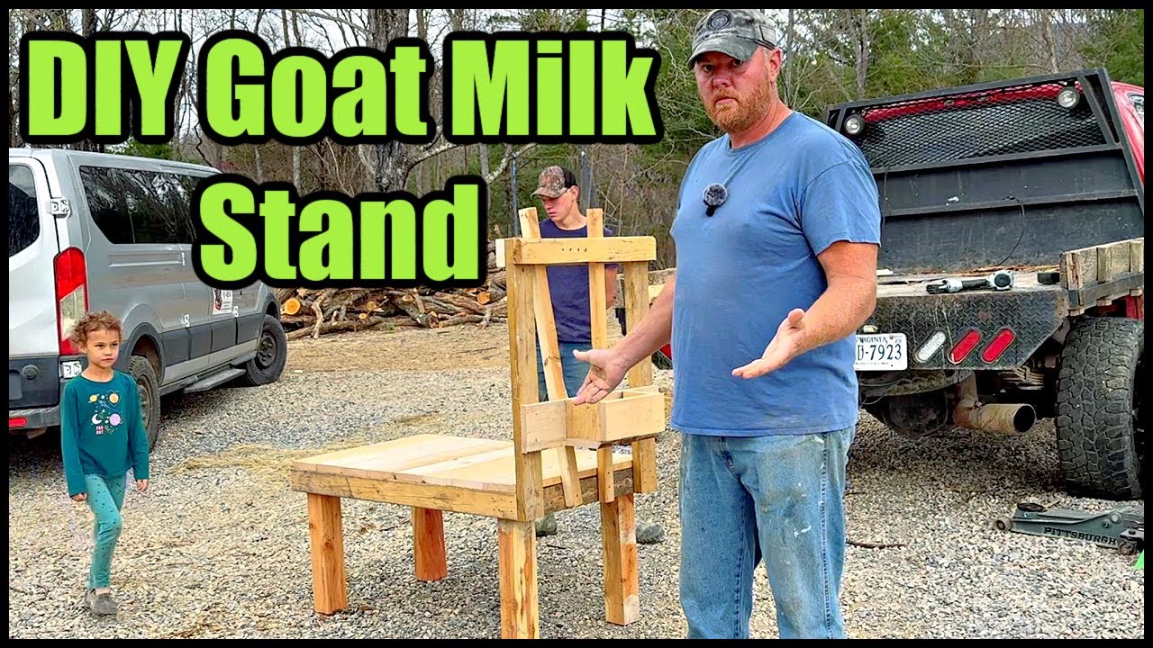 How to Build a Goat Milk Stand: From Scrap Wood to Milking Master