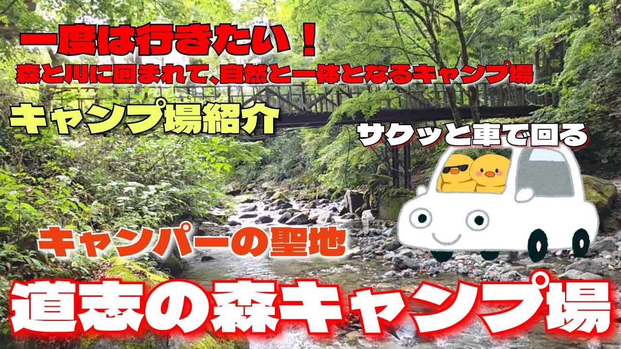 【道志の森キャンプ場】施設紹介&ぽょ的評価