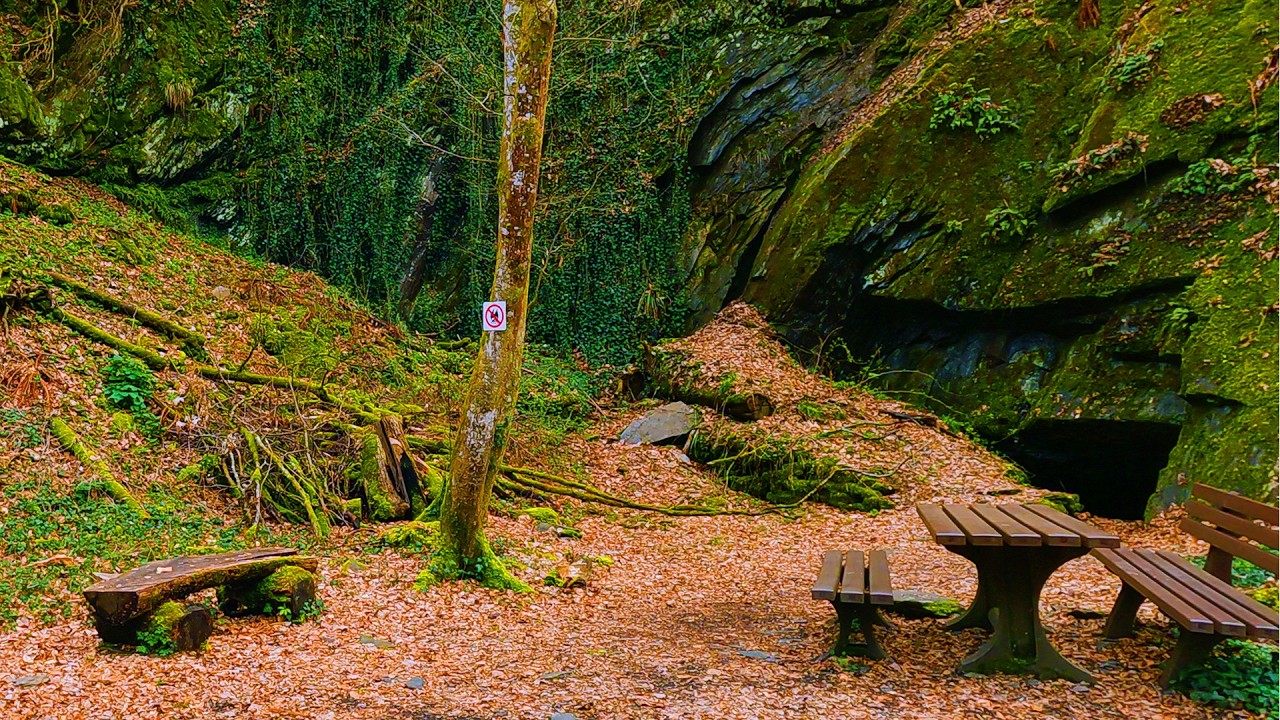Rundwanderung im Baybachtal zu den Fledermausquartieren mit Schmausem&uuml;hle und Hunsr&uuml;ck