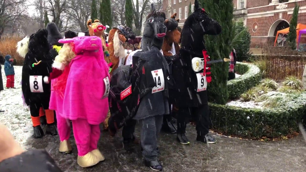 London Pantomime Horse Race 2017