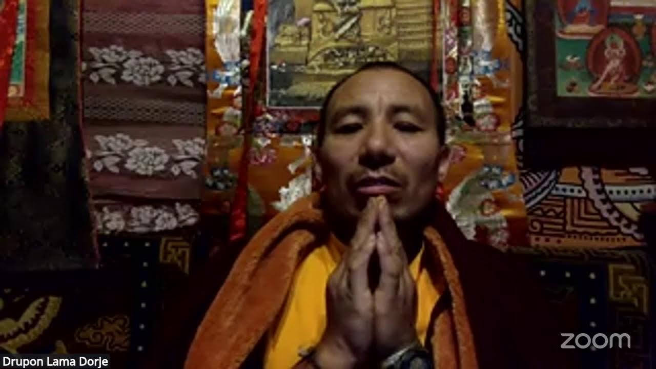 Weekly Meditation on Compassion