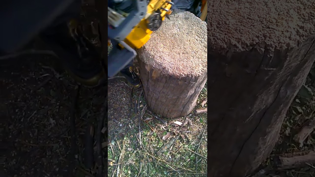 Piła spalinowa Partner 460 - Jonsered 2045 Husqvarna 45 #szorts