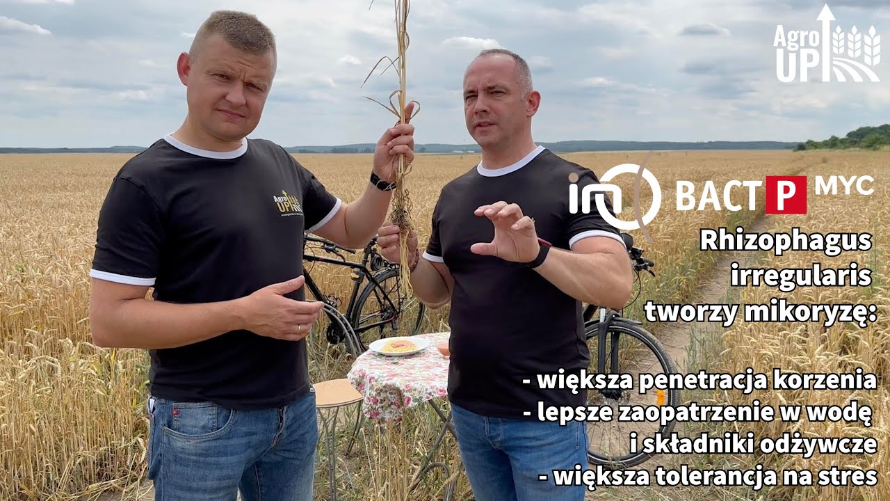 Z mikoryzą korzeń długi jak makaron spaghetti! odcinek 6