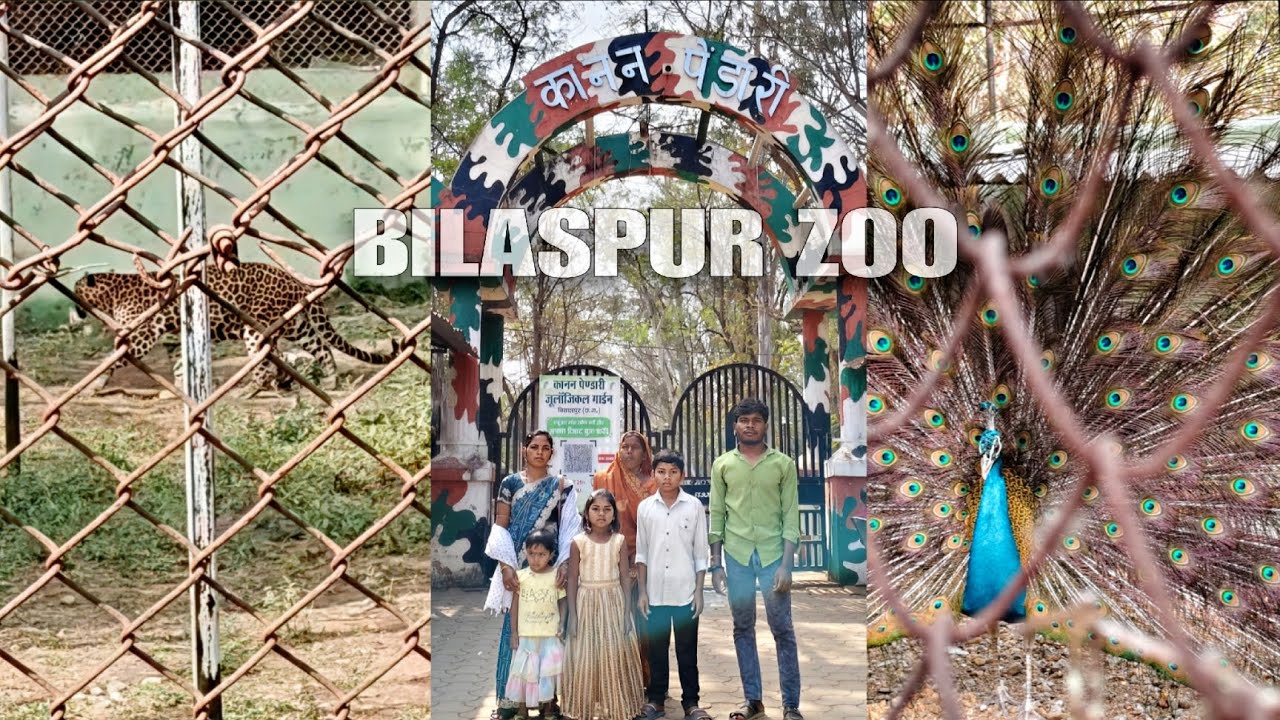 Kanan Pendari Zoological Garden Bilaspur vlog 