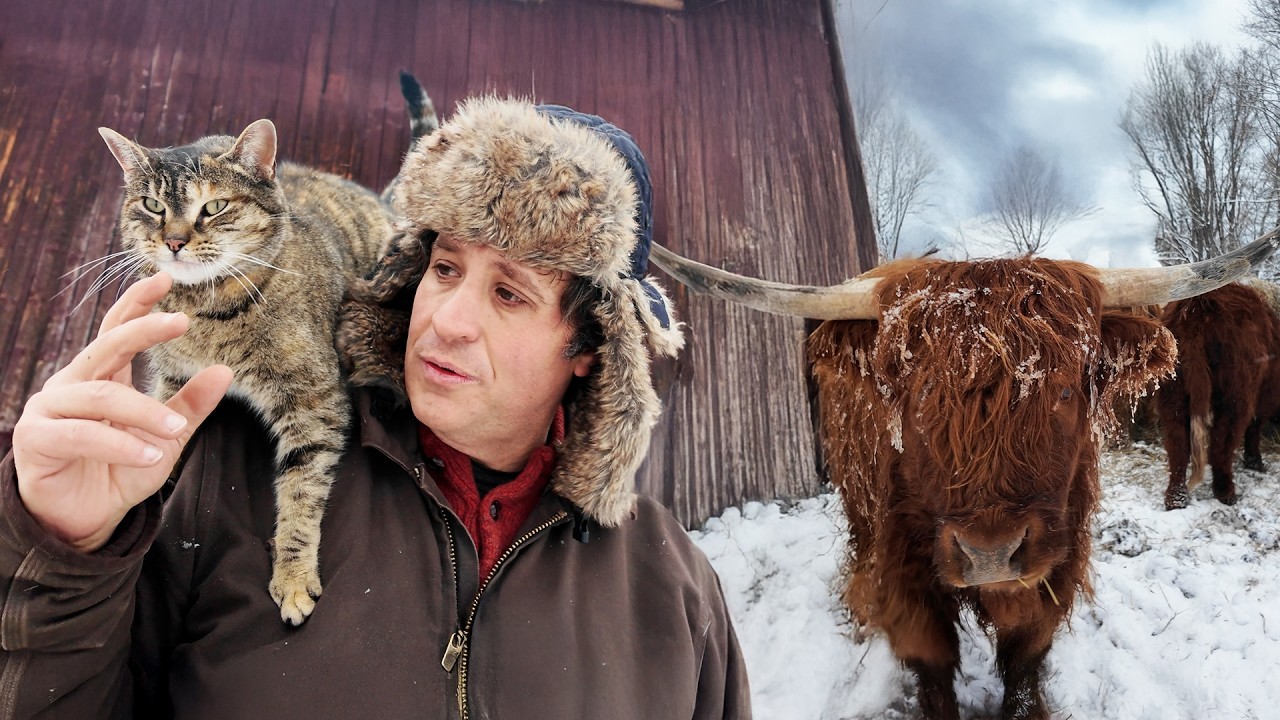 Why My Goats Grew 3 Inches of Fur This Winter