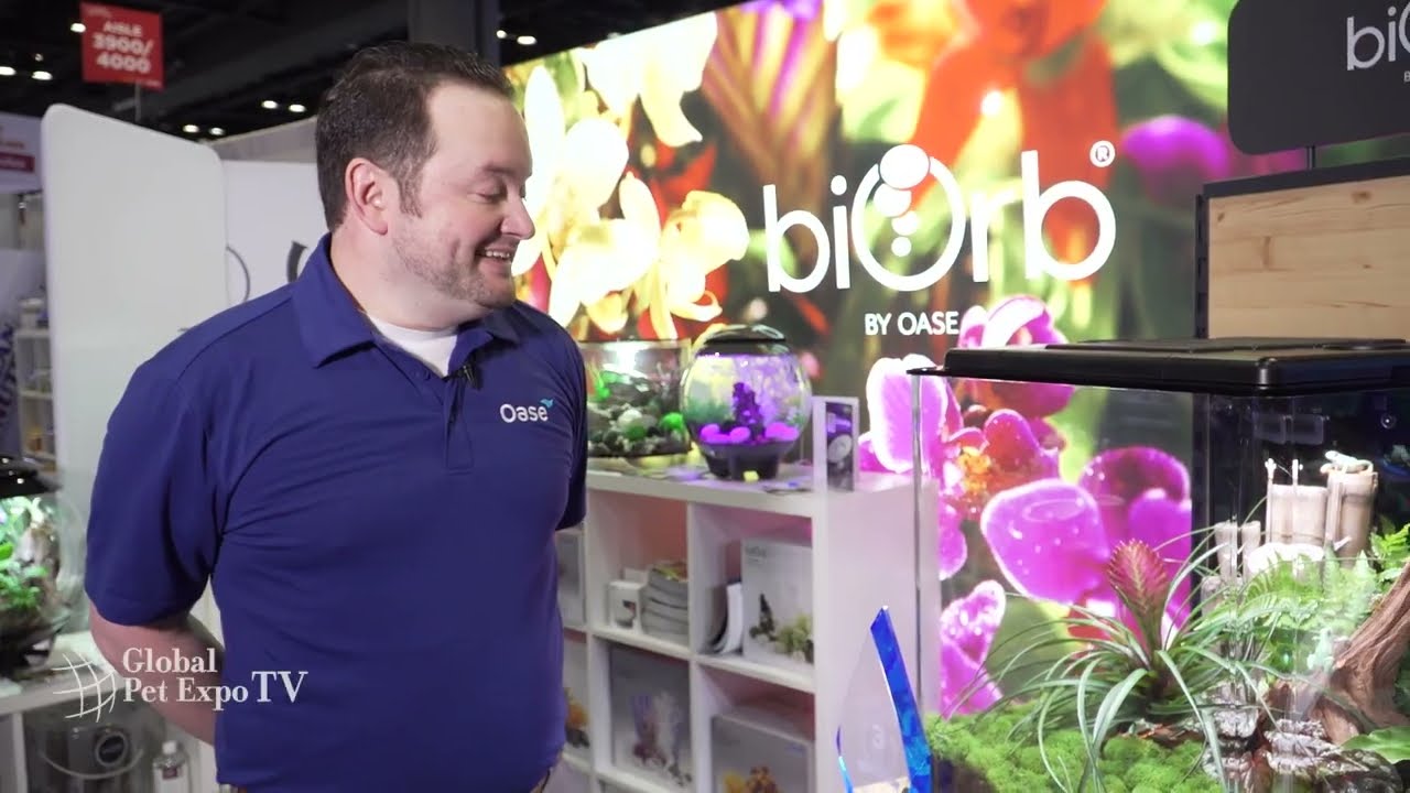 biOrb EARTH Vivarium by OASE Living Water | Reptile, Third Place