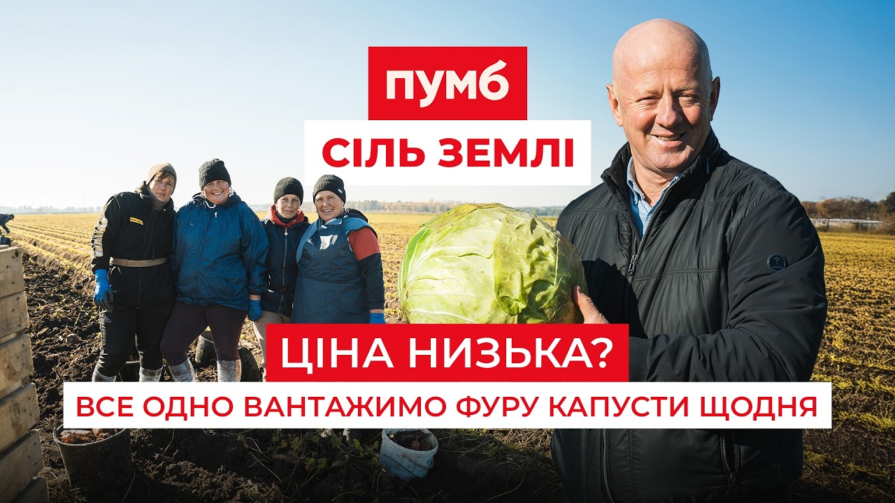 Овочі дешевшають. Але тут знайшли, як «вигребти». Як заробляє на капусті тернопільський фермер