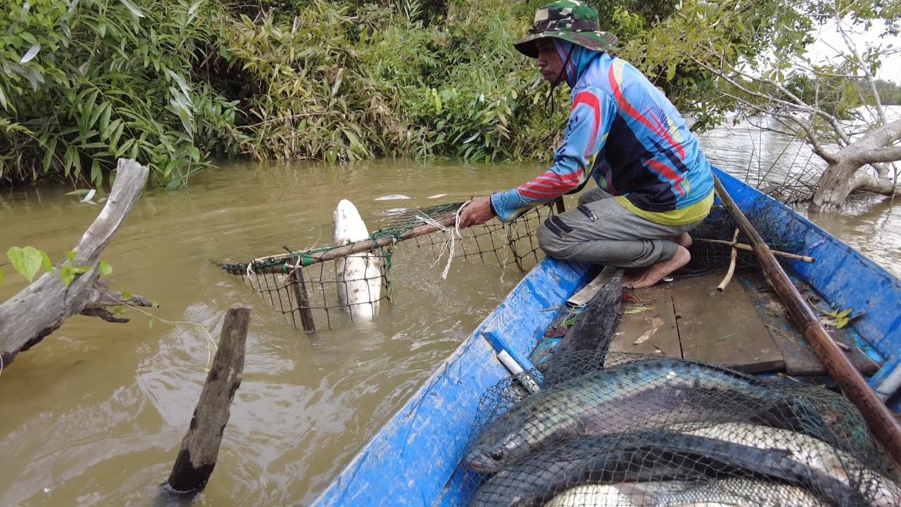 JEBAKAN IKAN BESAR KAMI SAMPAI BERGOYANG TERNYATA IKAN INI ISINYA
