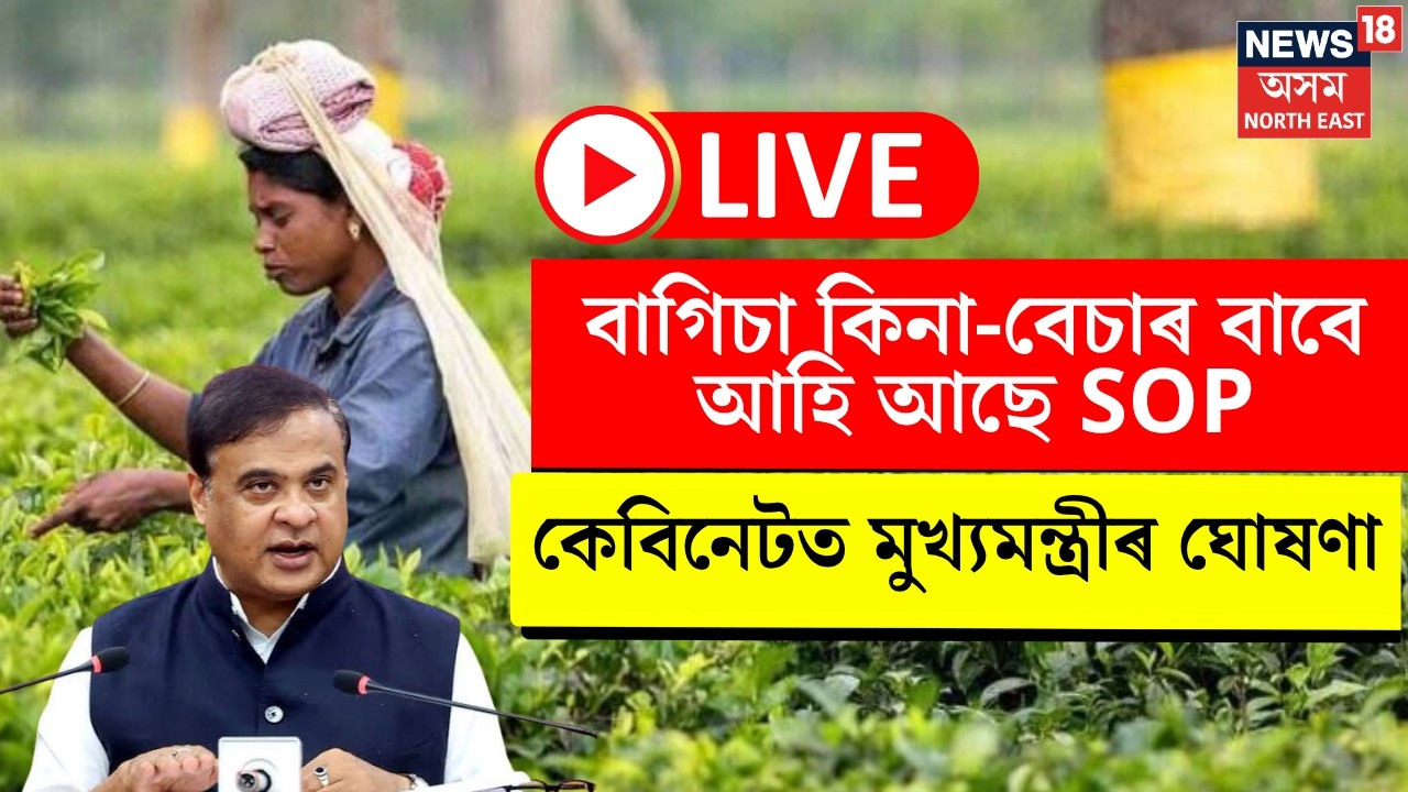 Assam Tea Garden SOP Live | অসম কেবিনেটৰ ডাঙৰ সিদ্ধান্ত! চাহ বাগিচাৰ বাবে আহিল নতুন নিয়ম