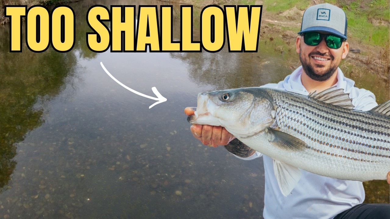 Я заплыл на своей лодке туда, где ей не место... [Награда за поимку крупного полосатого окуня]