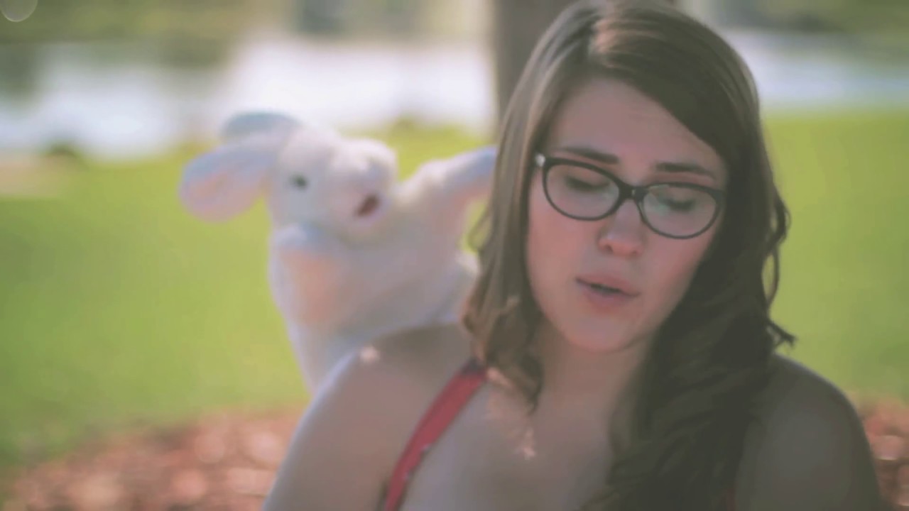 Pet Store (Official Video) by Danielle Ate the Sandwich