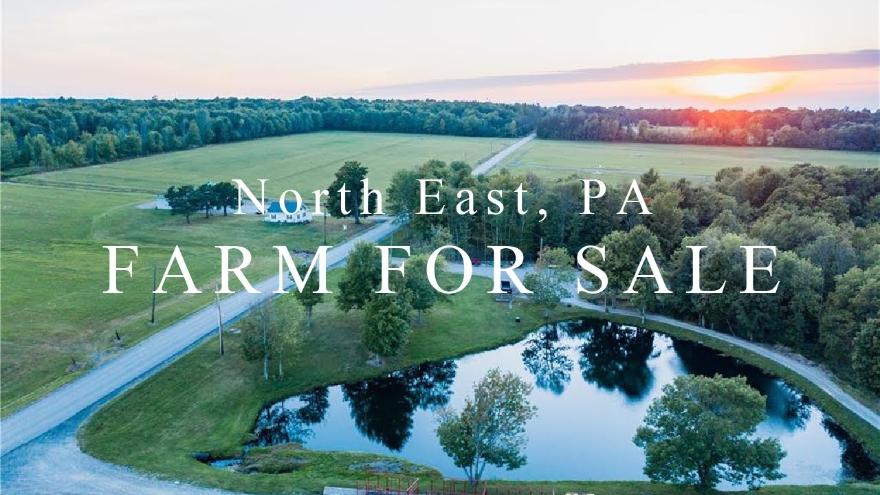 North East Pennsylvania Farm - For Sale