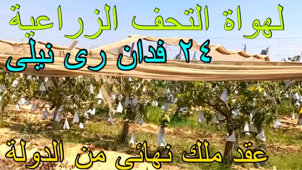 🌾🏡 امتلك مزرعة منتجة بالكامل 24 فدان + فيلا كبيرة قرية الشجاعة، طريق القاهرة - الإسكندرية الصحراوي.