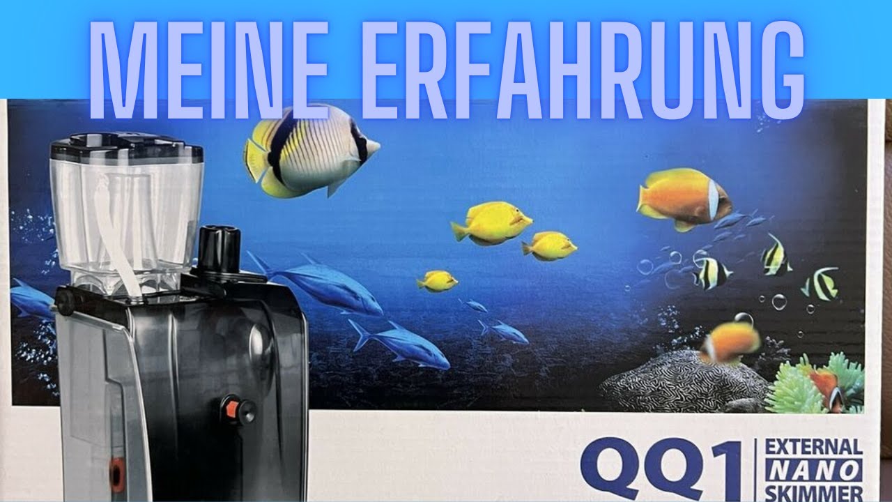 Mein Bubble Magus QQ1 Nano Absch&auml;umer